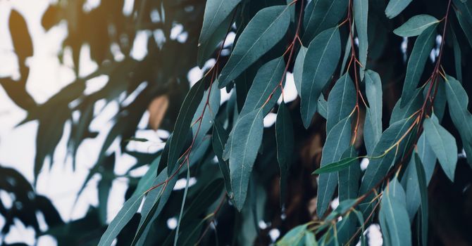 Blisters – Everything You Need to Know for Blister Prevention